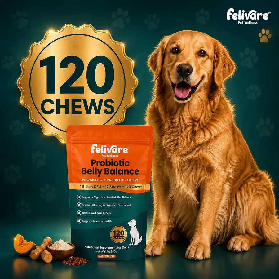 Felivare Probiotic Belly Balance 120 Chews